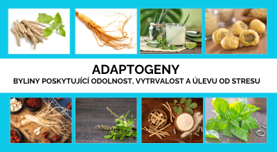 Adaptogeny – Byliny poskytující odolnost, vytrvalost a úlevu od stresu