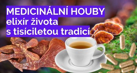 Medicinální houby: Elixír života s tisíciletou tradicí