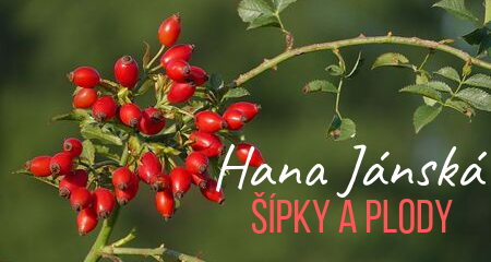 Hana Jánská: Šípky a plody