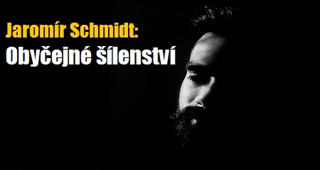 Jaromír Schmidt: Obyčejné šílenství