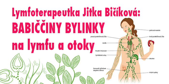 Jitka Bičíková: BABIČČINY BYLINKY na lymfu a otoky