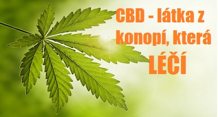 Hana Sahhu-arah: CBD - látka z konopí, která léčí