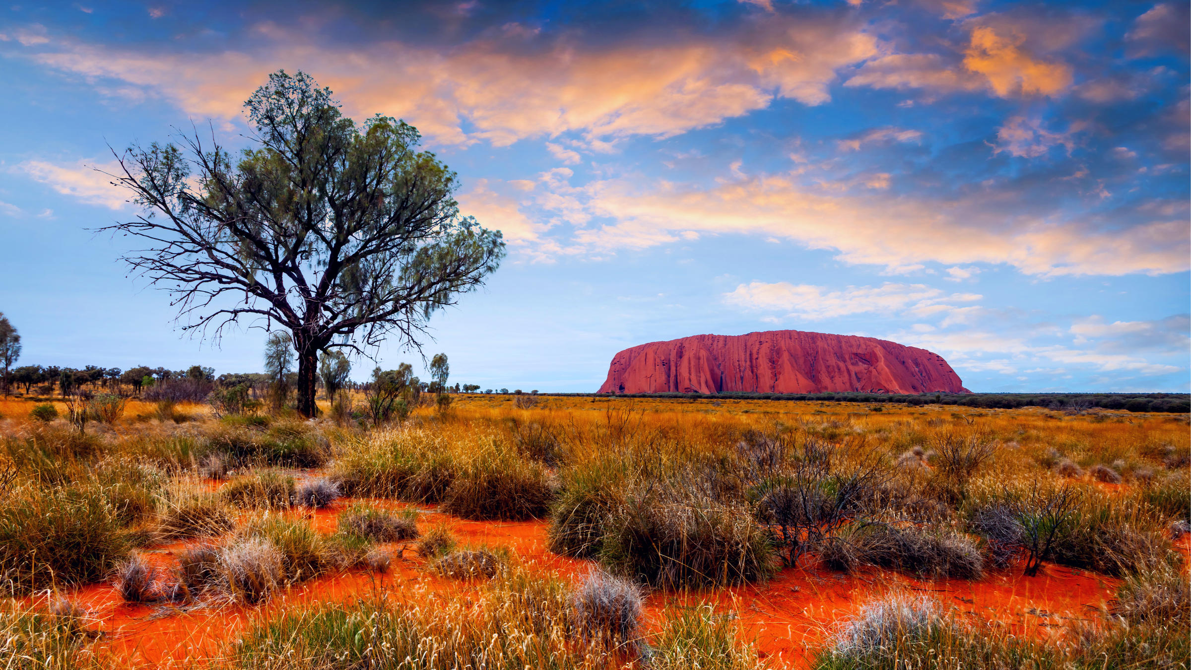 kata tjuta